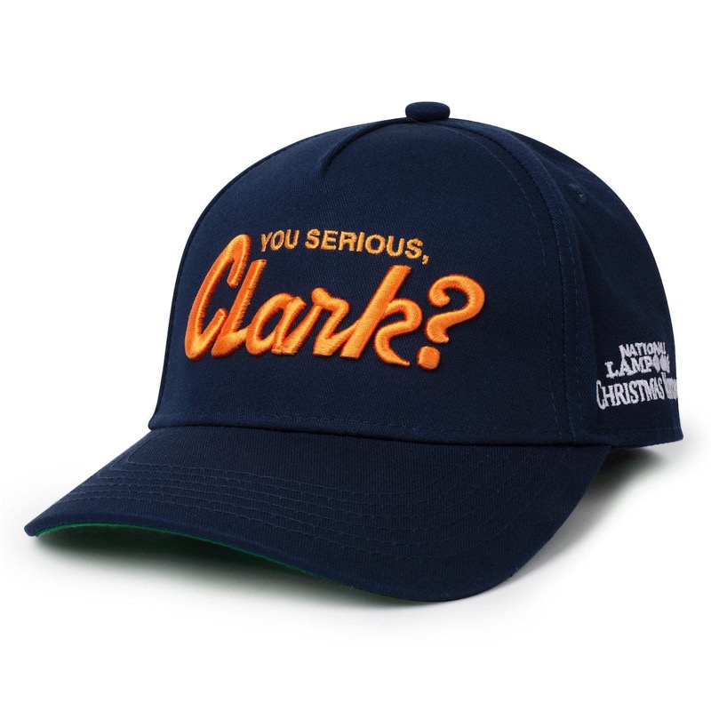RSVLTS You Serious, Clark? 5-Panel Hat in Blue — front view