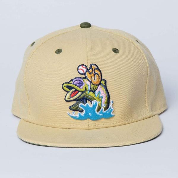 RSVLTS The Scottsville Catch Snapback Hat — front view