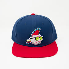 RSVLTS Ball Hawk Snapback Hat in Blue — front view