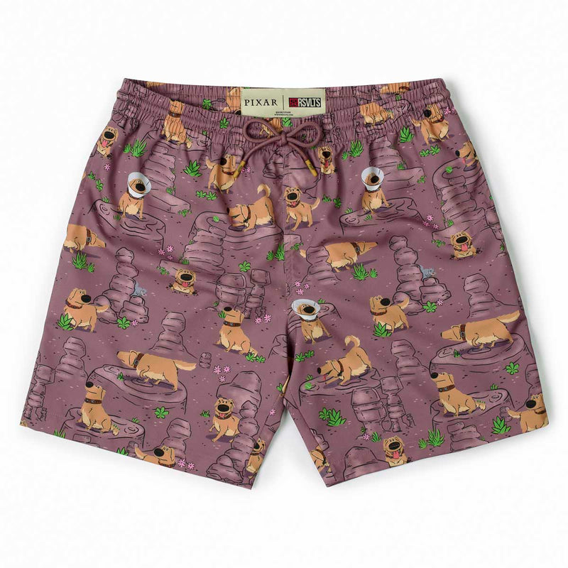 RSVLTS My Name Is Dug Hybrid Shorts in Brown — front view