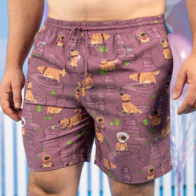 RSVLTS My Name Is Dug Hybrid Shorts in Brown — detail 2