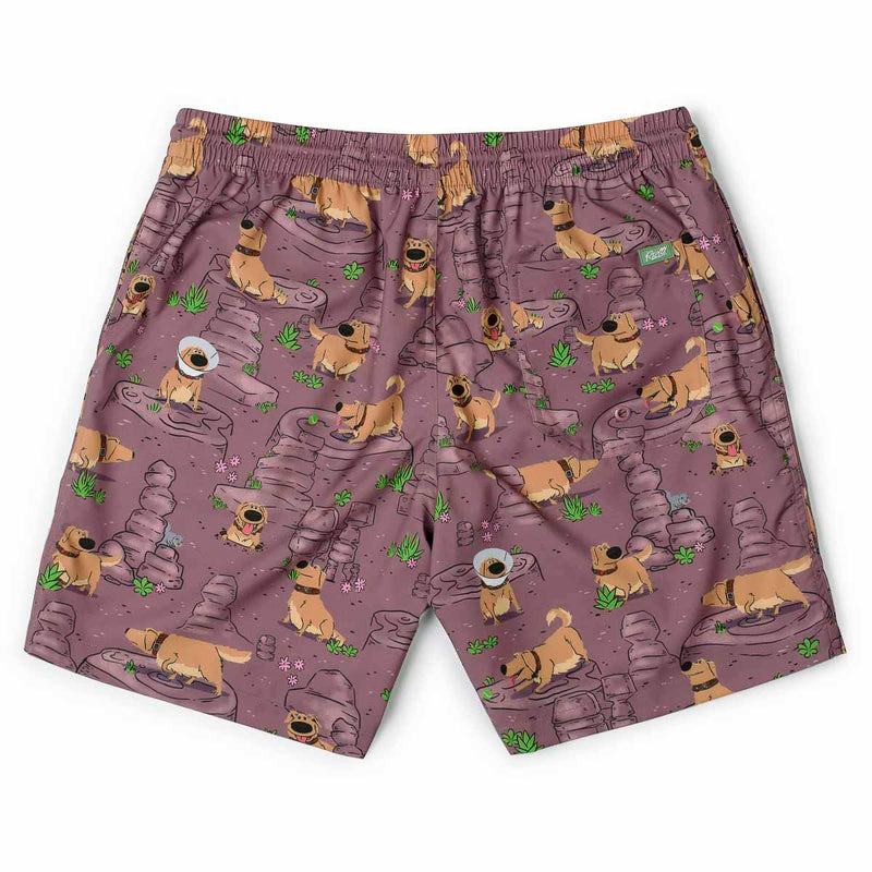 RSVLTS My Name Is Dug Hybrid Shorts in Brown — detail 5