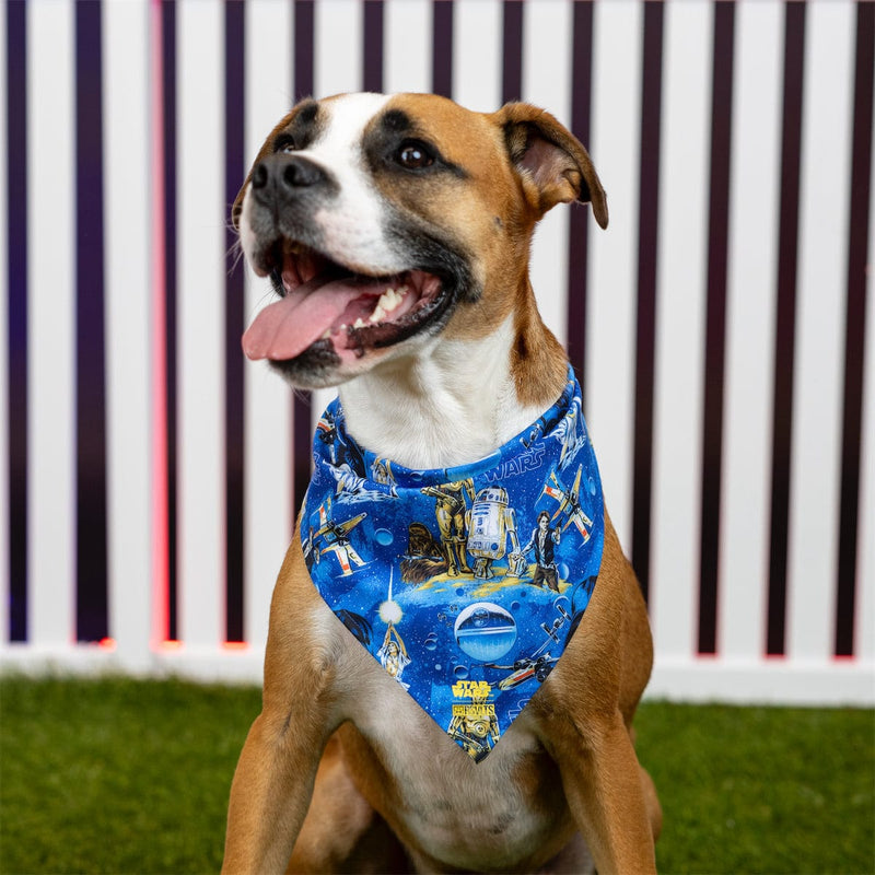 RSVLTS Luke Sleepwalker Dog Bandana — detail 4