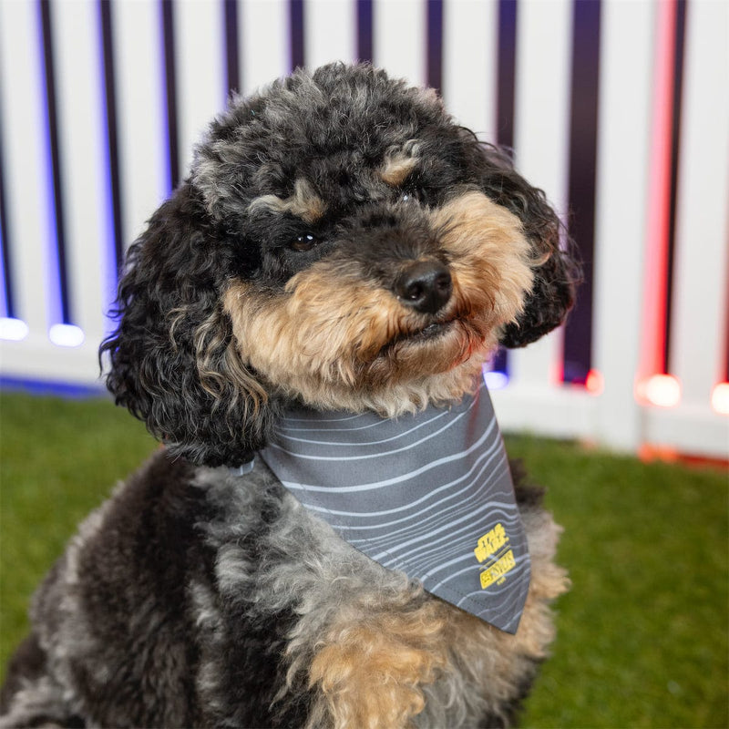 RSVLTS Beskar Steel Dog Bandana — detail 3