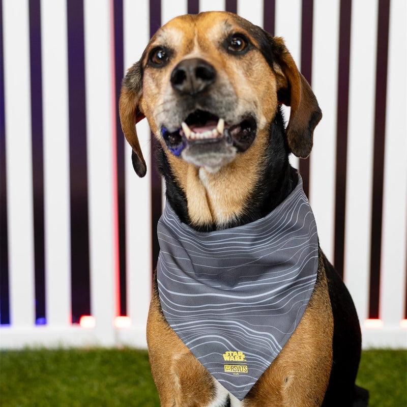 RSVLTS Beskar Steel Dog Bandana — detail 5
