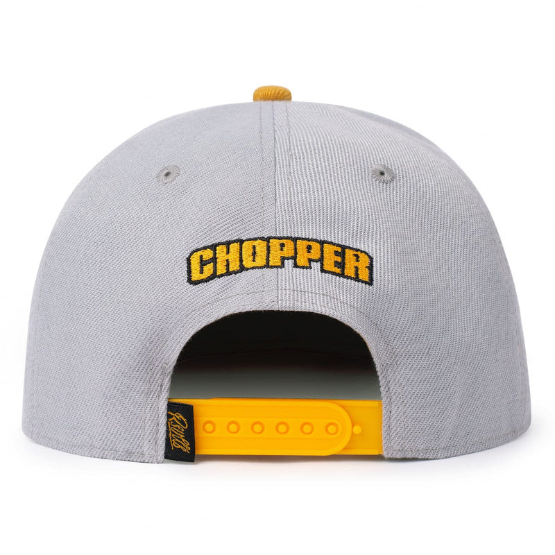RSVLTS Chopper TLB Hat (Sloped) in Gray — detail 2