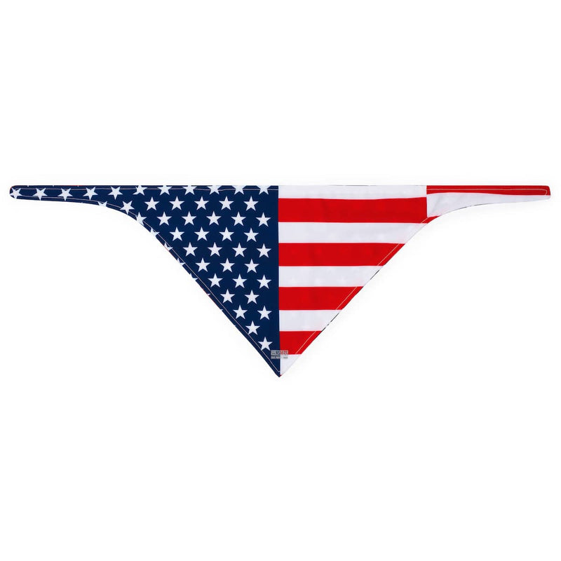 RSVLTS Star-Spangled 'Dana Dog Bandana in Blue — detail 2