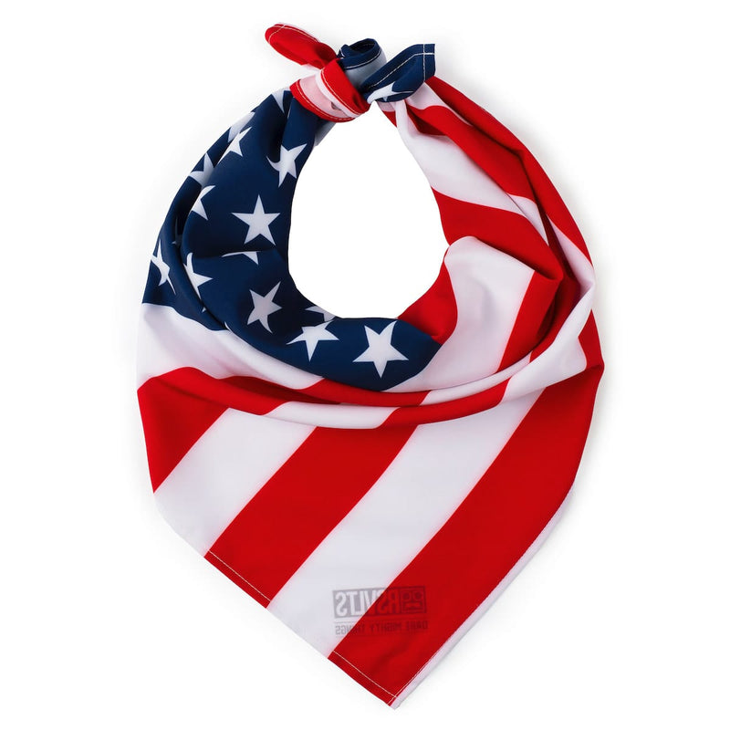 RSVLTS Star-Spangled 'Dana Bandana in Blue — detail 3
