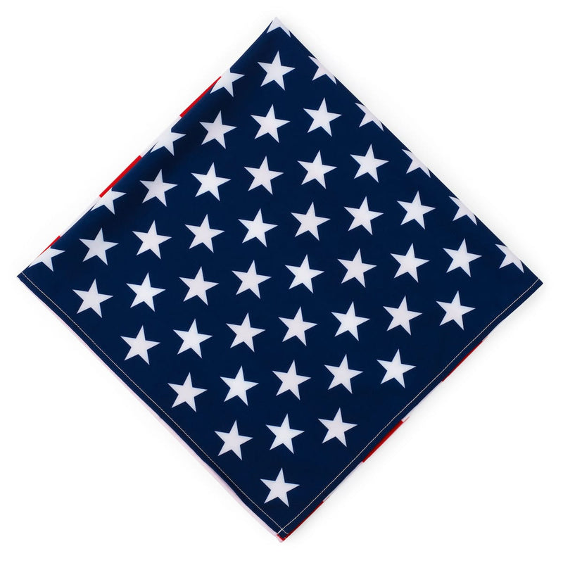 RSVLTS Star-Spangled 'Dana Bandana in Blue — detail 4