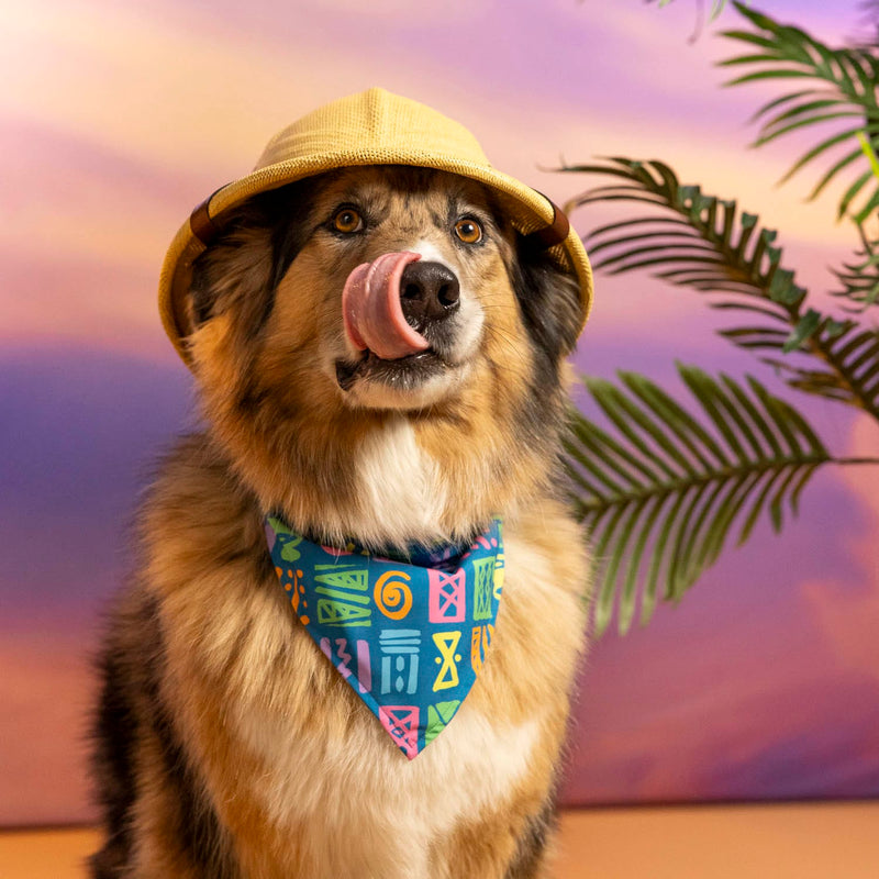 RSVLTS Mickey's Surfside Summer Dog Bandana — front view