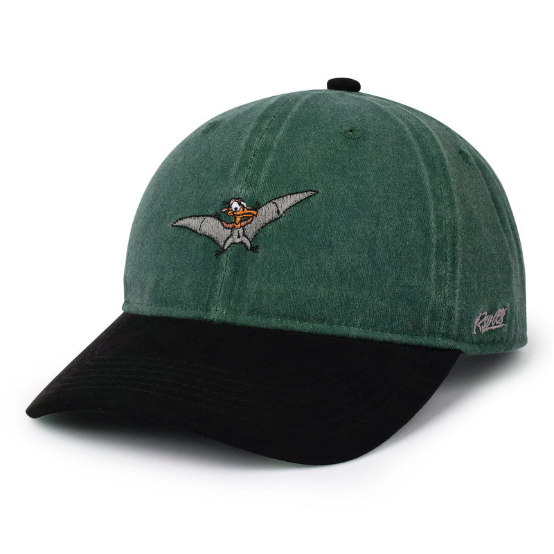 RSVLTS Me Can Fly! Dad Hat — front view