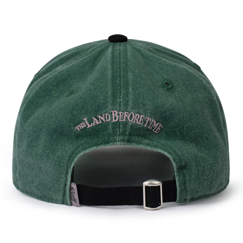 RSVLTS Me Can Fly! Dad Hat — detail 2