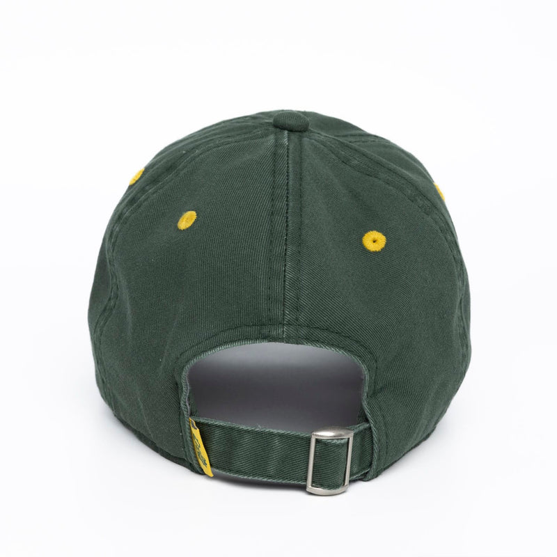 RSVLTS The Iron Crown Dad Hat in Green — detail 3