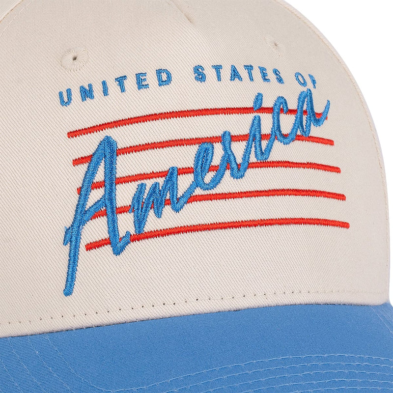 RSVLTS Retro '76 5-Panel Curved Brim Hat — detail 4