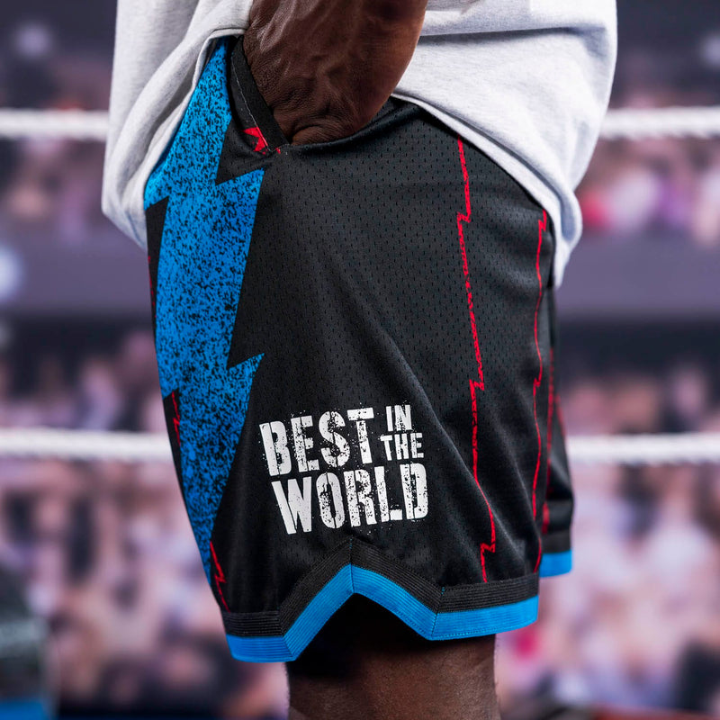 RSVLTS Best in the World Mesh Shorts in Black — detail 2