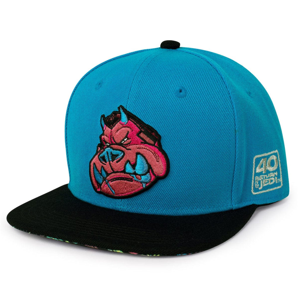 RSVLTS Gamorrean Guard TLB Hat — front view