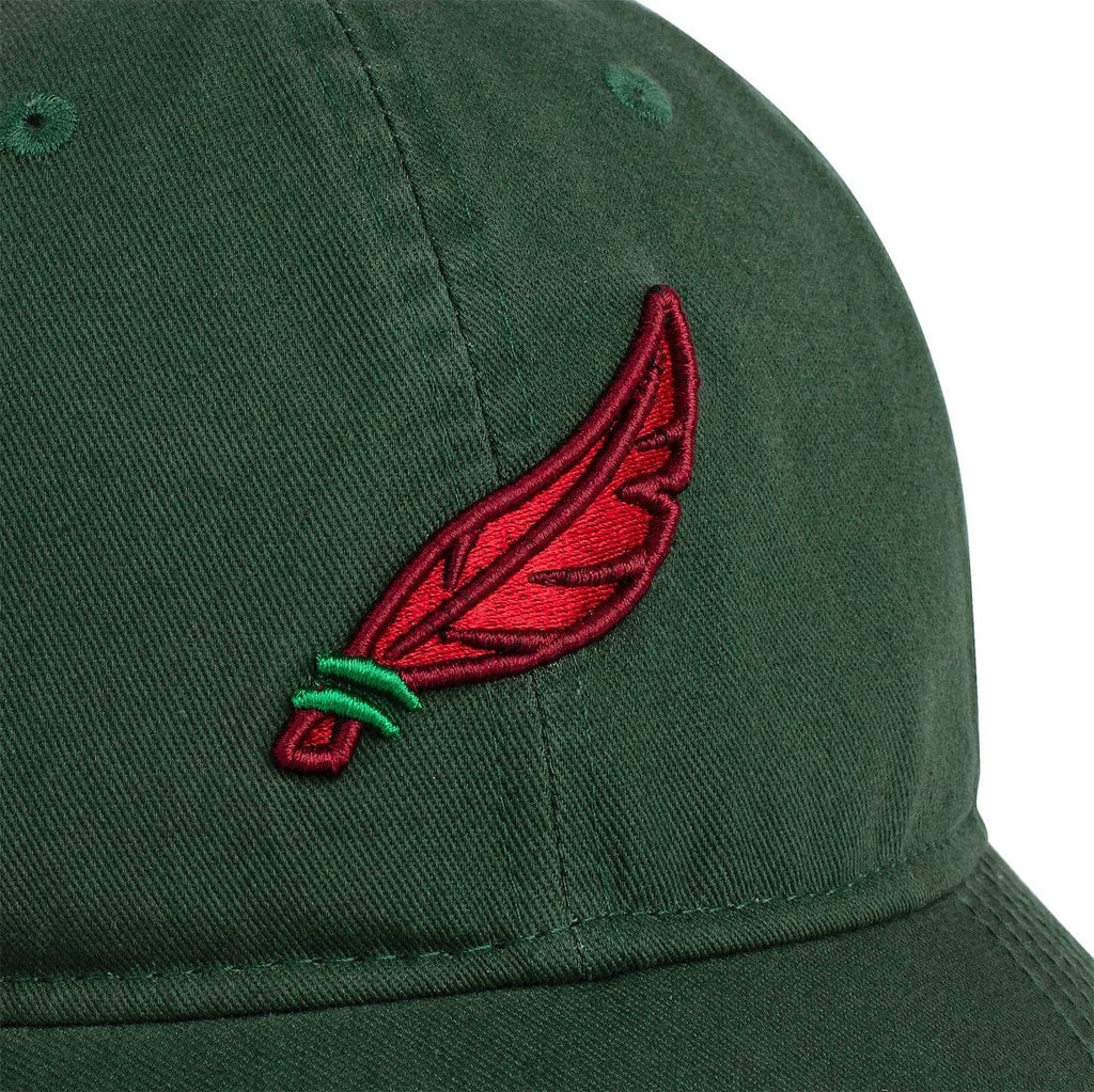RSVLTS Feather in Your Cap Dad Hat — detail 7