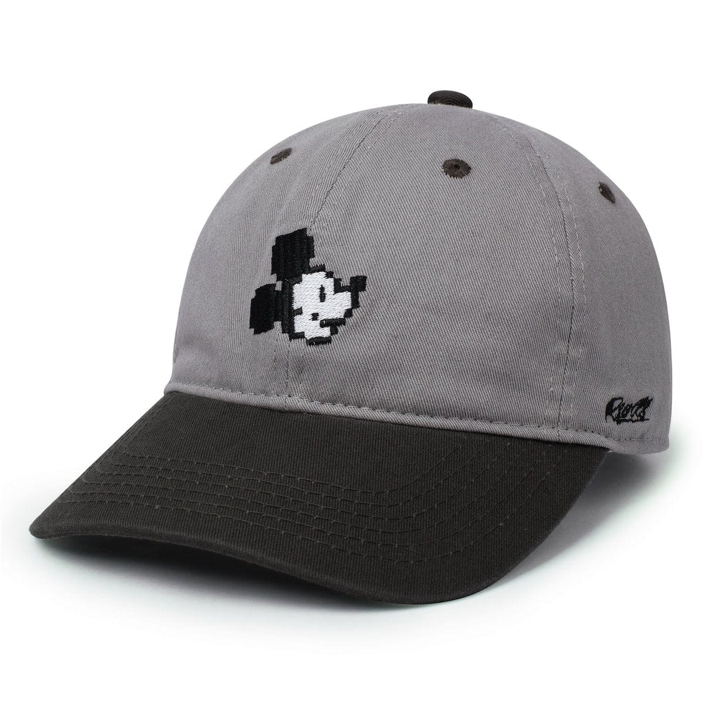 RSVLTS Pixel Pal Dad Hat in Gray — front view