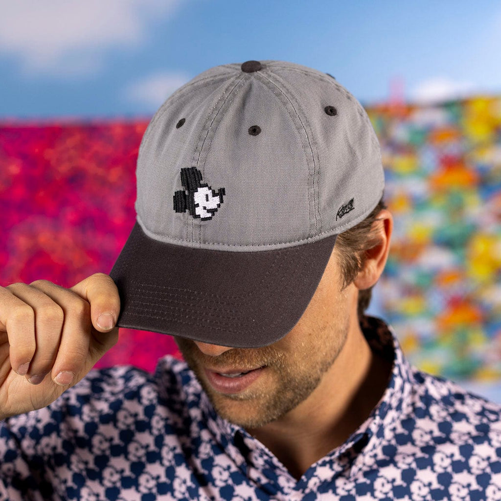 RSVLTS Pixel Pal Dad Hat in Gray — detail 3