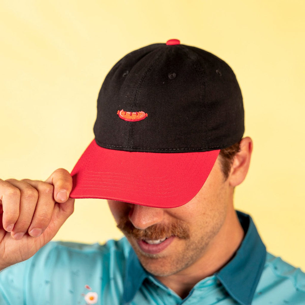RSVLTS Sausage Dad Hat in Black — detail 5