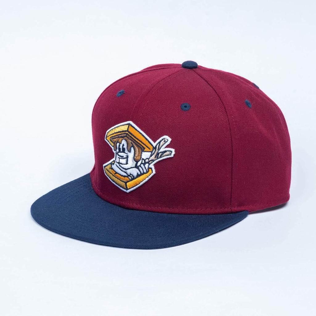 RSVLTS Hamilton City S’mores Snapback Hat in Red — detail 2