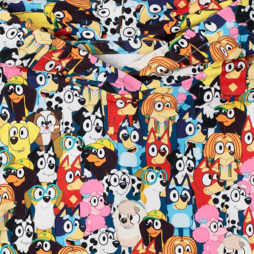 RSVLTS Primary Pals Preschool Performance Hoodie in Multicolor — detail 3