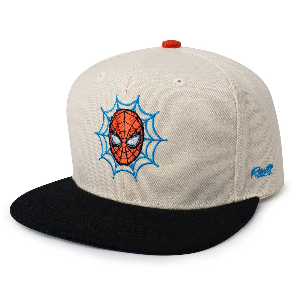 RSVLTS Web-Head Snapback Hat in Gray — front view