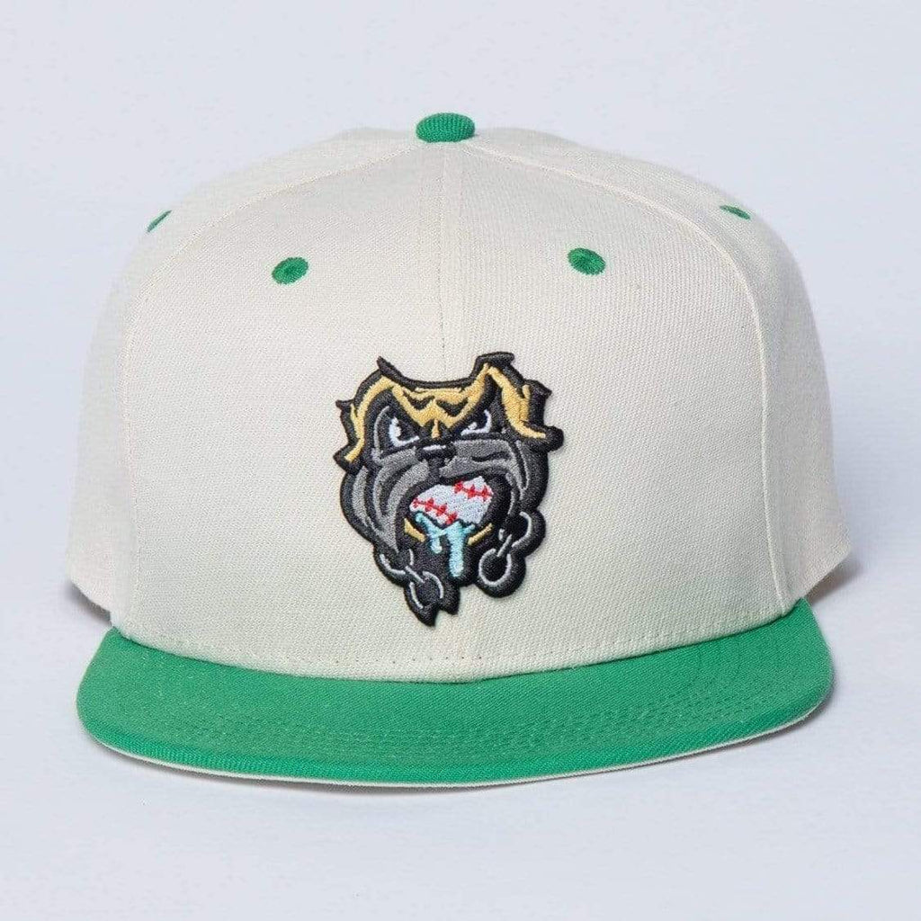 RSVLTS The Beast Snapback Hat — front view