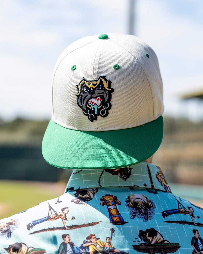 RSVLTS The Beast Snapback Hat — detail 6