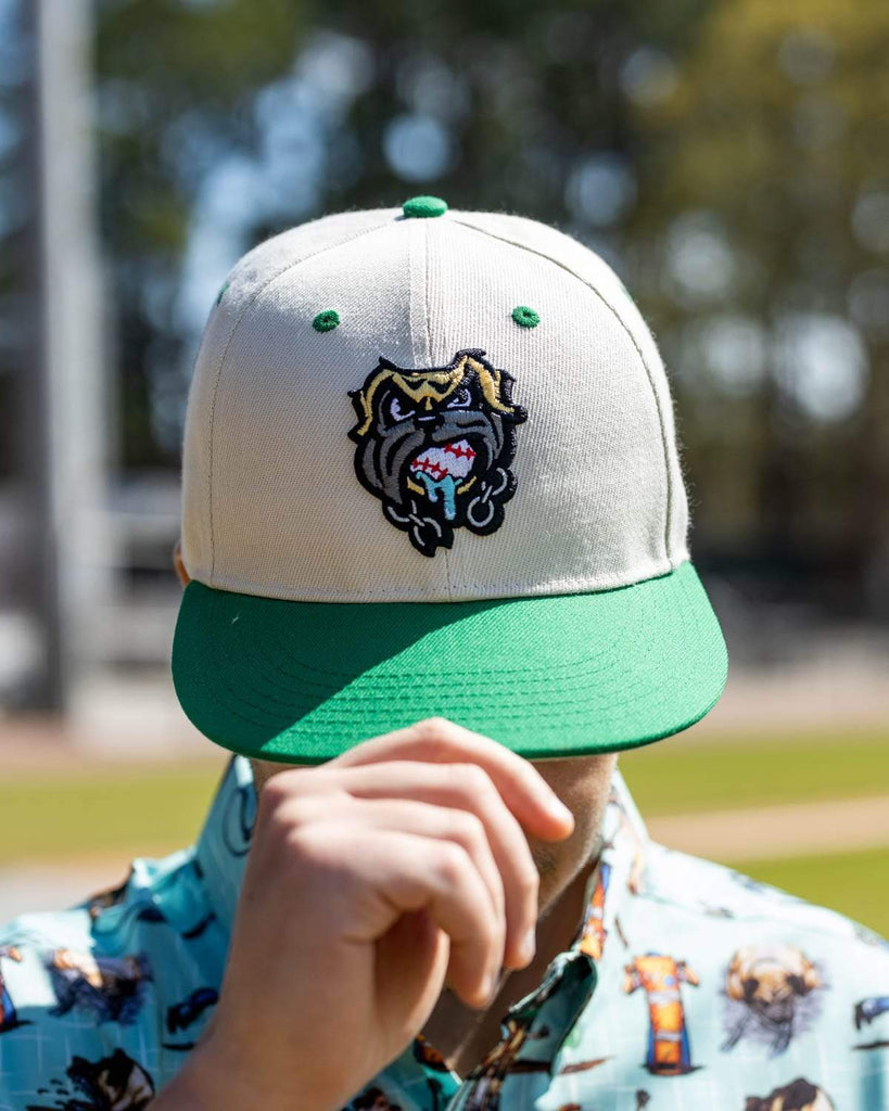 RSVLTS The Beast Snapback Hat — detail 4