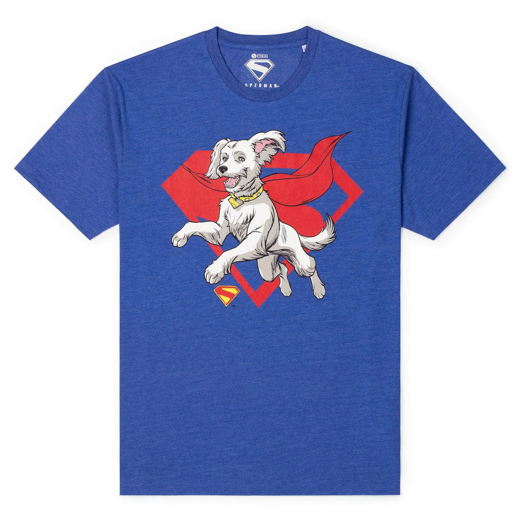 RSVLTS Krypto Crewneck Tee — front view