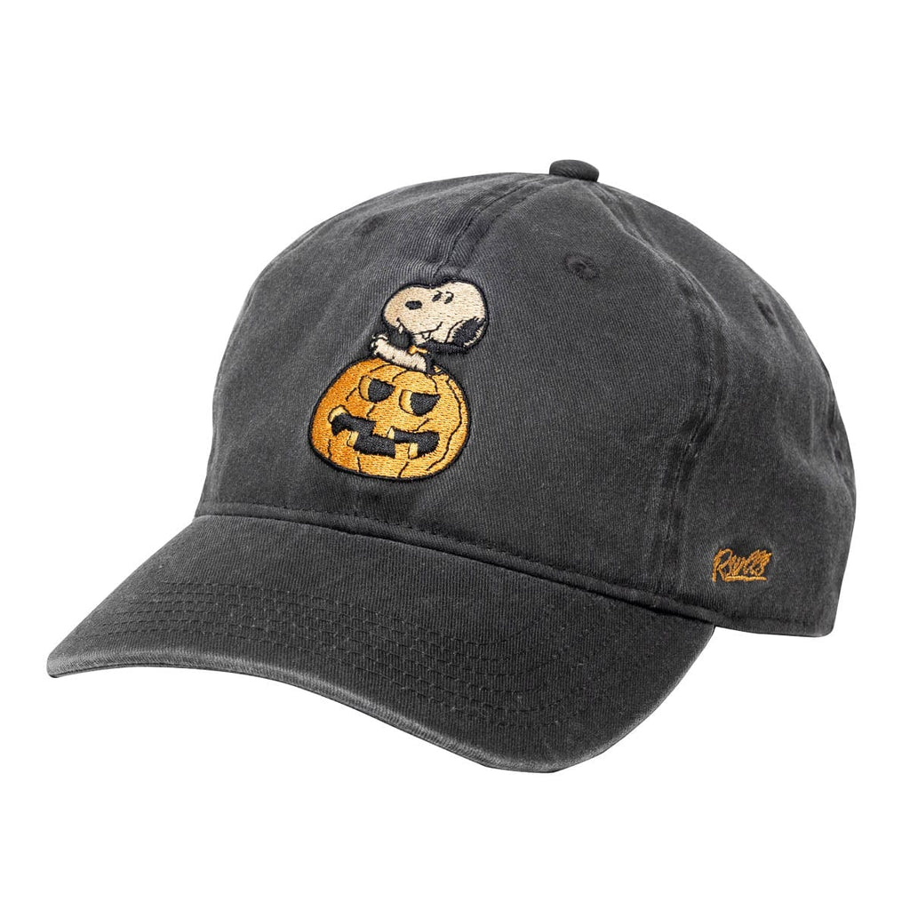 RSVLTS BOO! Dad Hat in Gray — front view