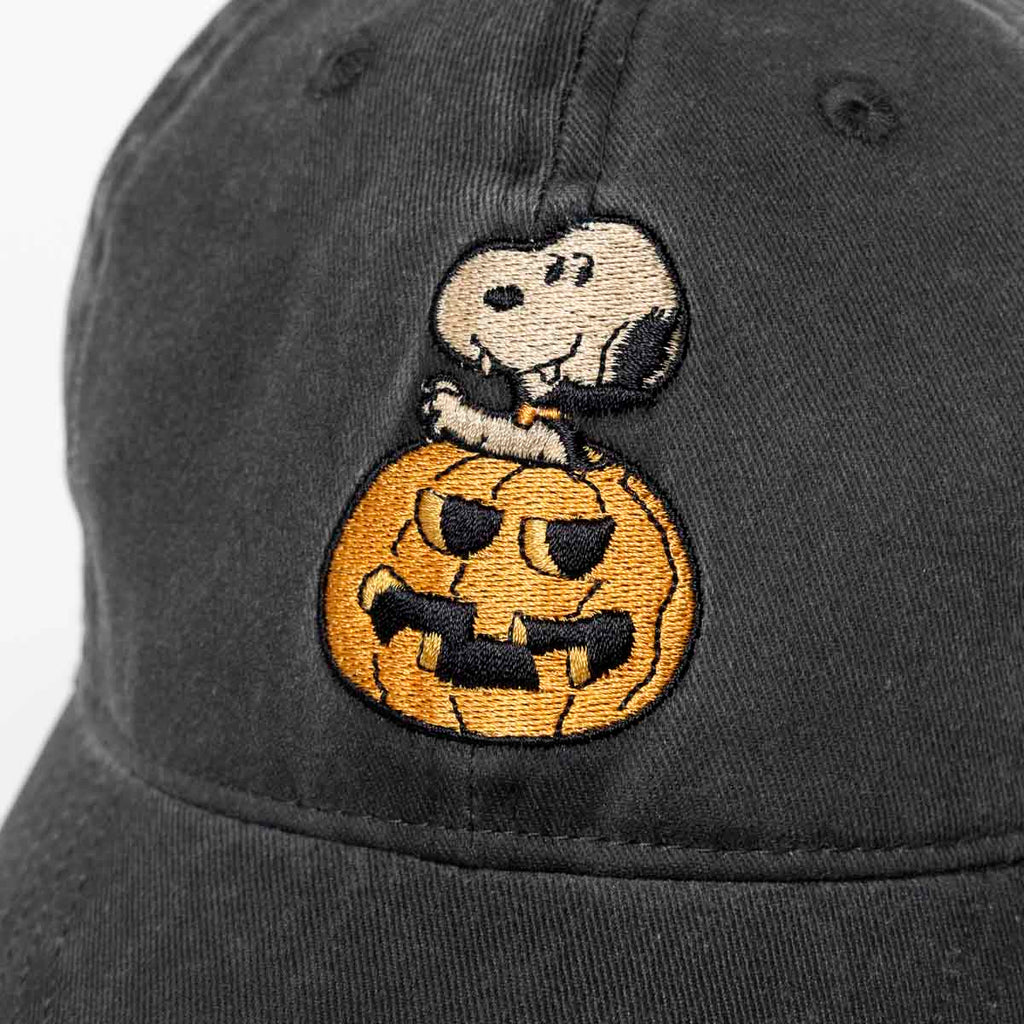 RSVLTS BOO! Dad Hat in Gray — detail 4