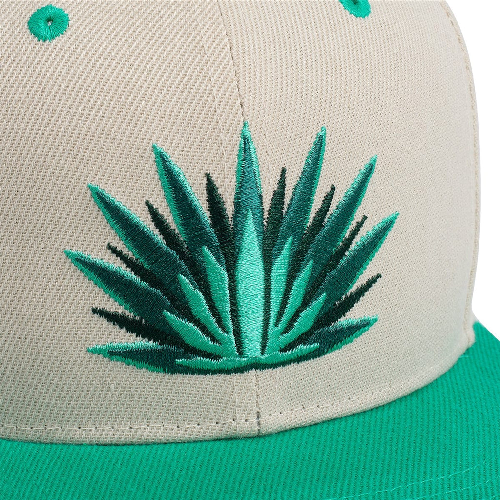 RSVLTS Mas Santo! TLB Hat in Green — detail 6