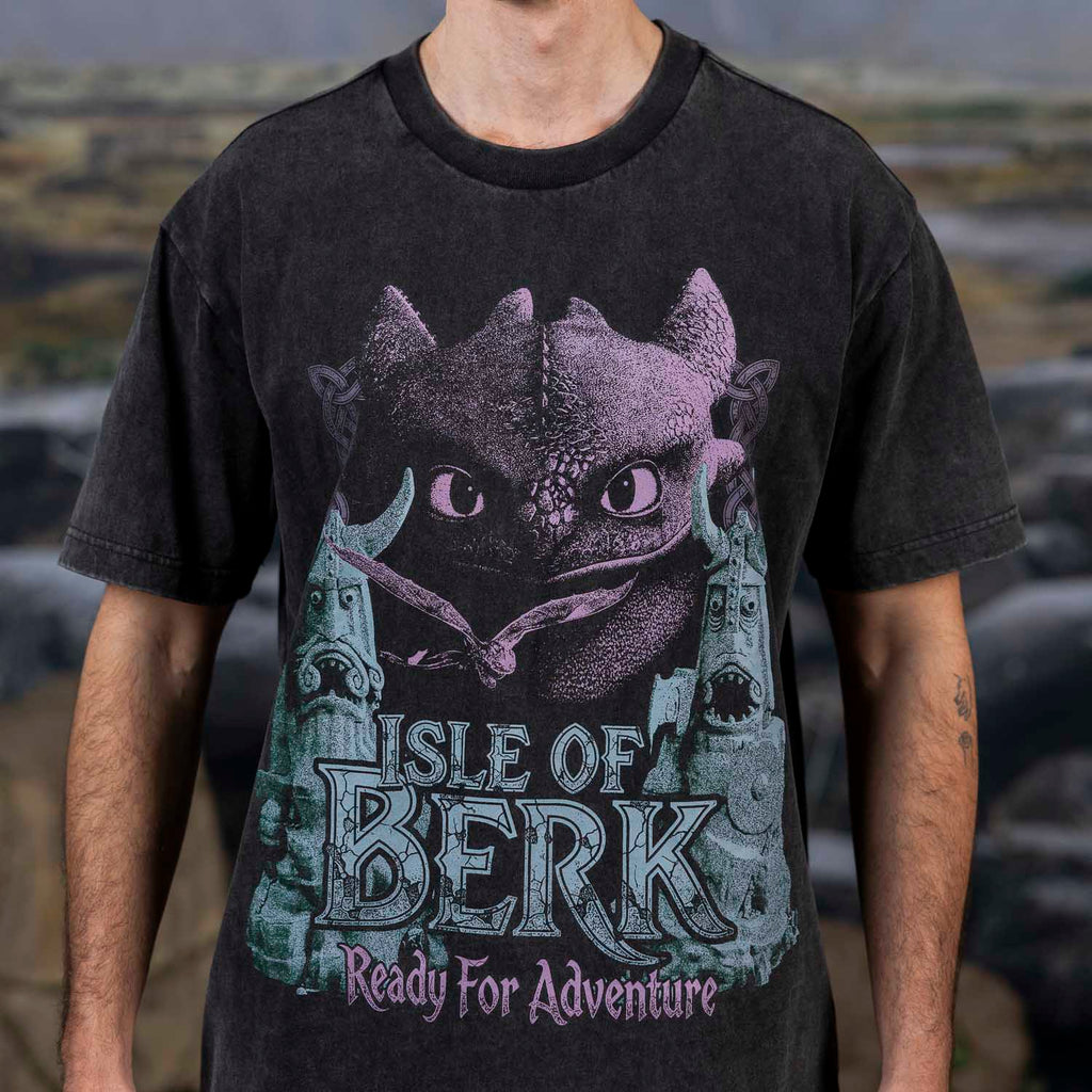 RSVLTS Isle of Berk Vintage Crewneck Tee in Black — detail 5