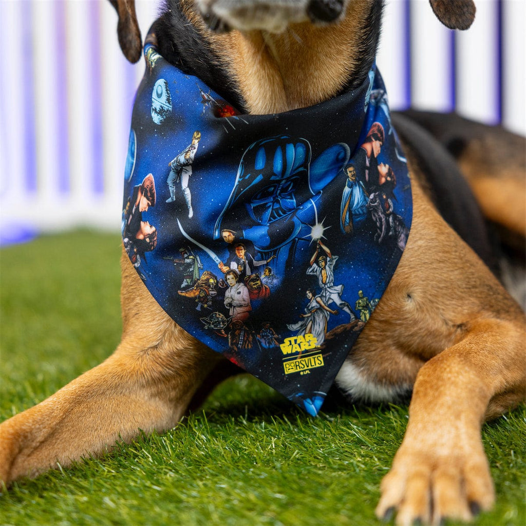 RSVLTS The Trilogy Dog Bandana — detail 4
