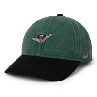 RSVLTS Me Can Fly! Dad Hat — front view