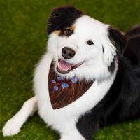 RSVLTS The Chewie Dog Bandana — detail 4