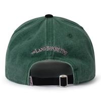 RSVLTS Me Can Fly! Dad Hat — detail 2