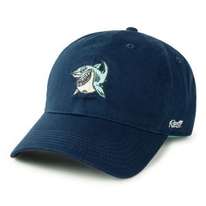RSVLTS Fish Are Friends Dad Hat in Blue — front view