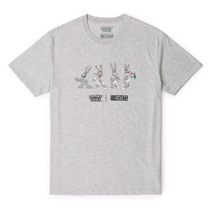 RSVLTS The Ehhh-volution of Bugs Crewneck Tee in Gray — front view