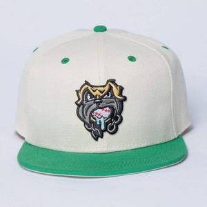 RSVLTS The Beast Snapback Hat — front view