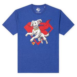 RSVLTS Krypto Crewneck Tee — front view