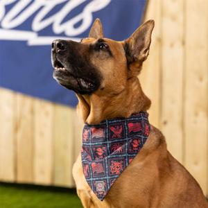 RSVLTS Grillaxin’ Dog Bandana in Black — front view