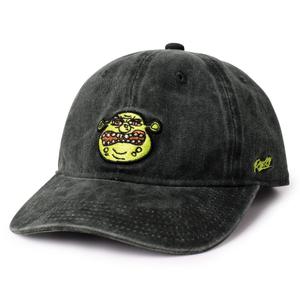 RSVLTS Beware OGRE Dad Hat — front view