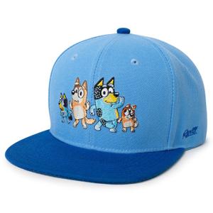 RSVLTS Meet the Heelers Snapback Hat in Blue — front view