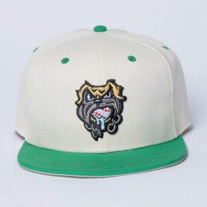 RSVLTS Mertle Beasts Snapback Hat in White — front view