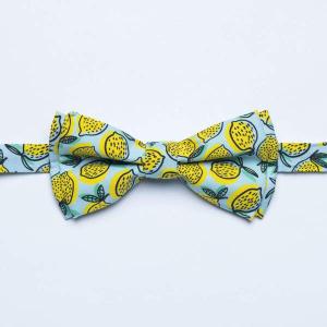RSVLTS Lemonchillo bow tie Tie & Pocket Square in Blue — front view