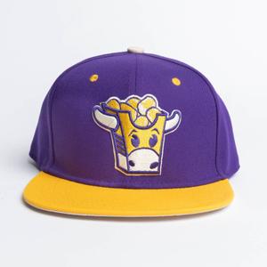 RSVLTS Hater Totz Snapback Hat in Purple — front view