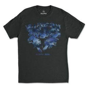 RSVLTS Patronus Crewneck Tee in Black — front view